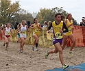 2010CIF XC GD3-0479